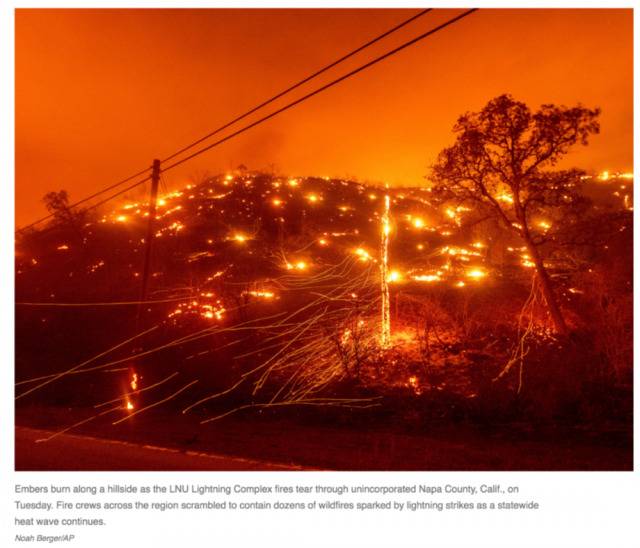 当地时间8月18日，加州纳帕县野火的余烬仍在燃烧。/美联社
