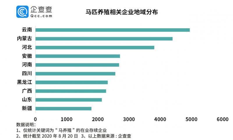 “英雄马”感动众多网友，数据显示我国马匹养殖企业云南最多