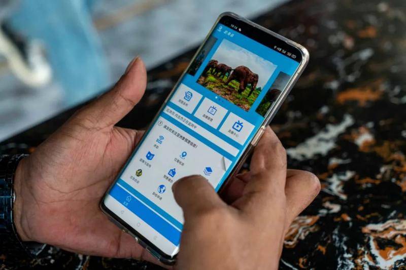 直击“追象”现场！《新华每日电讯》聚焦西双版纳这个“特殊”群体