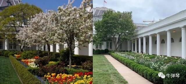 最惊艳对比照，特朗普一家这样改造了白宫！