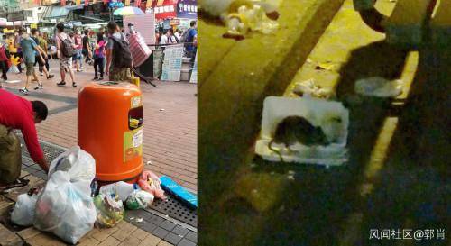 观察者网:香港禁止堂食后 街道垃圾太多老鼠频繁出没