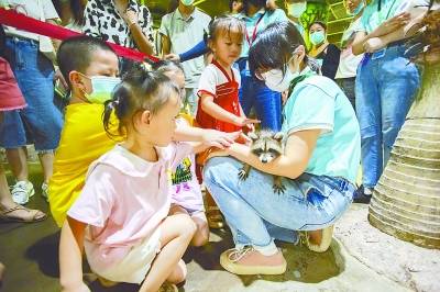 武汉小浣熊四胞胎满月啦！