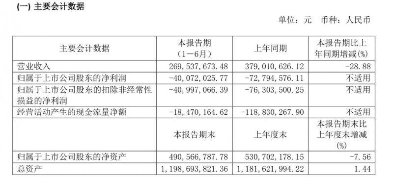 ST椰岛上半年营收下滑近29%，亏损收窄