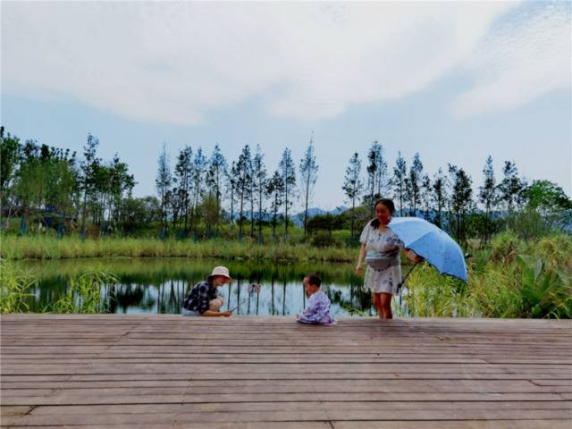 游客在广阳岛内游玩。朱林国摄