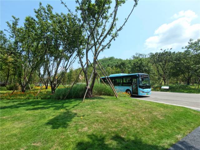为方便游客游玩，岛内开通了纯电动接驳车。朱林国摄