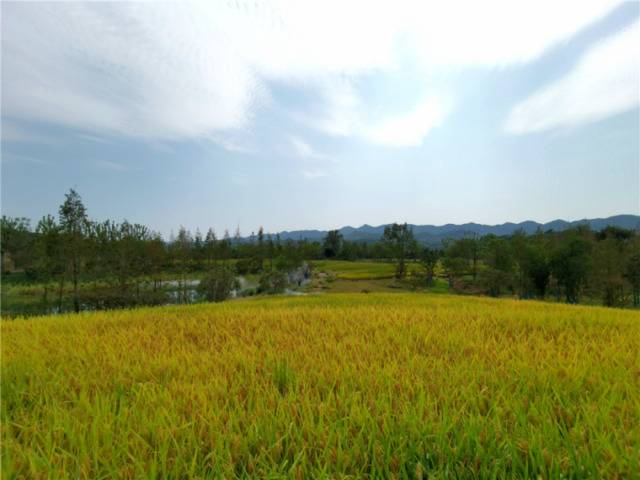 综合示范地美景。朱林国摄