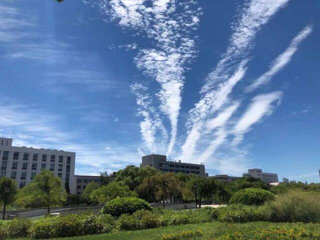 今日七夕，送你美好天大蓝