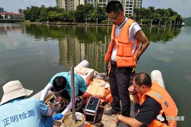 东莞一水库惊现大量死鱼？官方调查结果公布