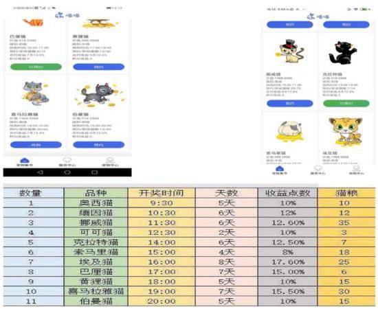 网上“养猫”6000多人被骗上亿元多地警方已立案