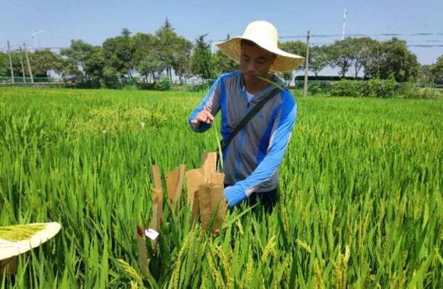 这个暑假，看南农教授天南海北施“魔法”