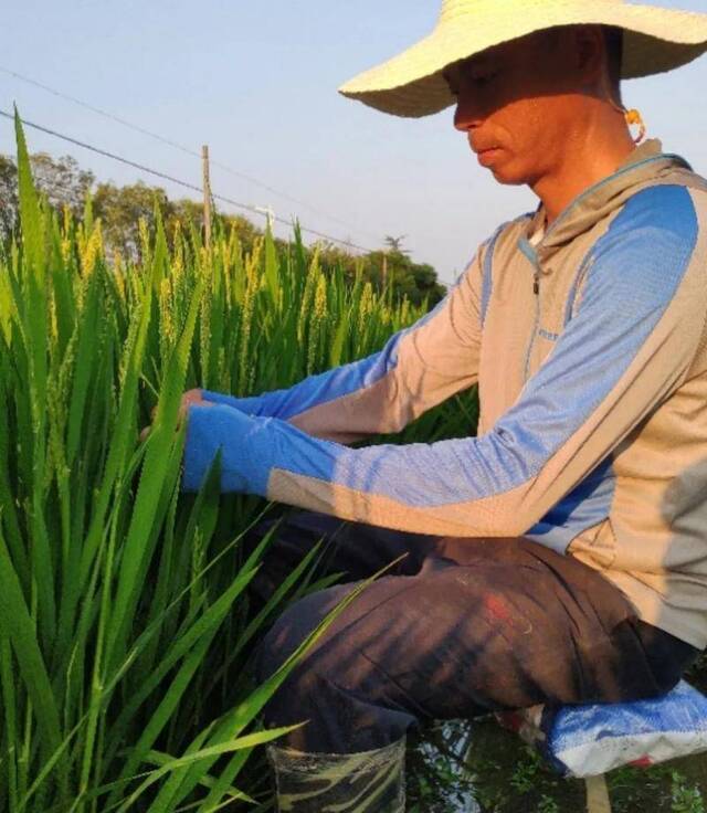 这个暑假，看南农教授天南海北施“魔法”