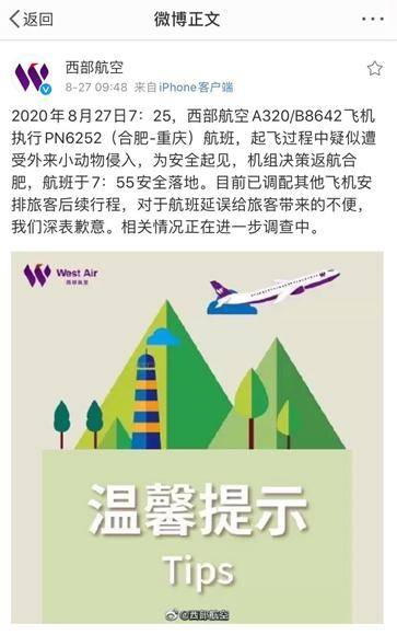 西部航空发布情况说明。微博截图