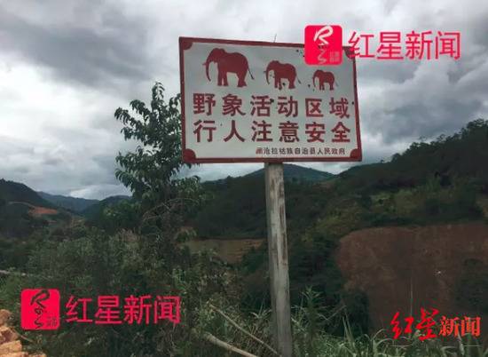 资料图。澜沧县发展河乡黑山村的野象活动区域警示牌