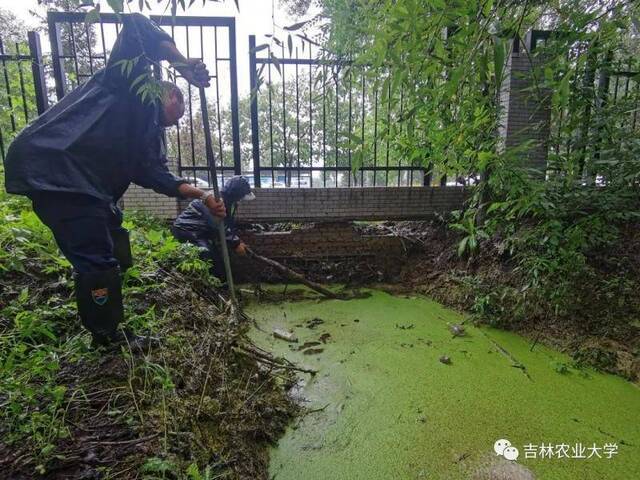 迎战台风“巴威”，后勤人在行动