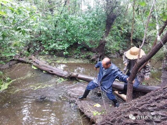 迎战台风“巴威”，后勤人在行动