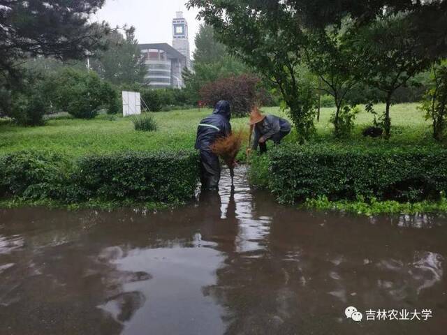 迎战台风“巴威”，后勤人在行动