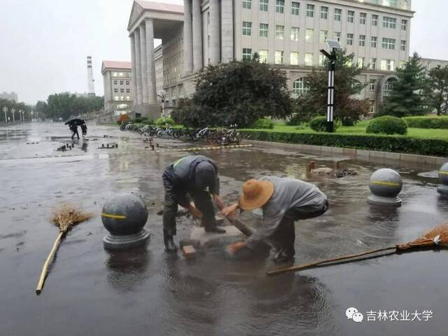 迎战台风“巴威”，后勤人在行动