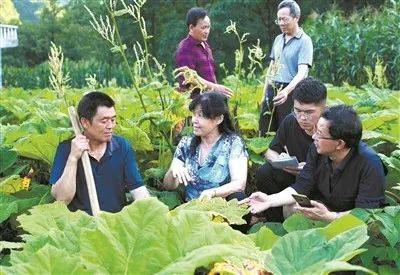 《中国教育报》整版报道！为你们骄傲！