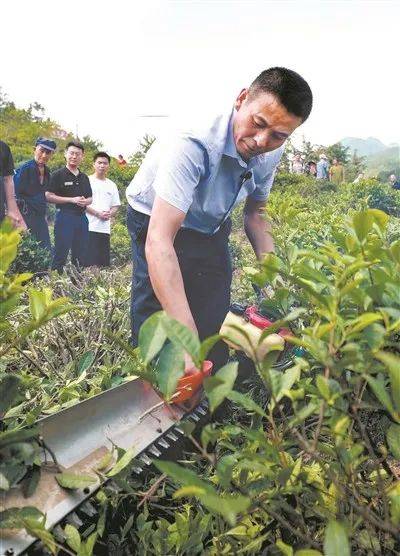 《中国教育报》整版报道！为你们骄傲！