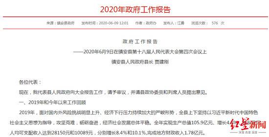 镇安县2020年政府工作报告图据镇安县政府官网