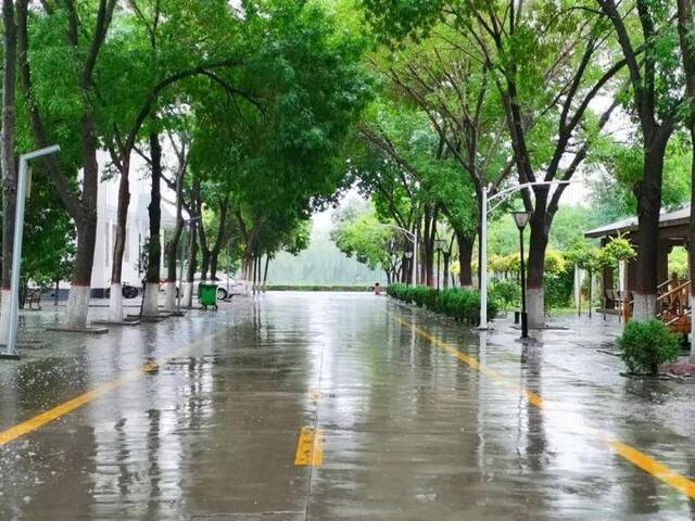 返校首日！风里雨里，宁大等你