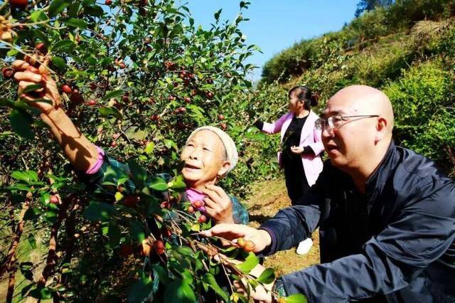 贵大黄剑教授：初心点亮扶贫路 双手筑就致富桥