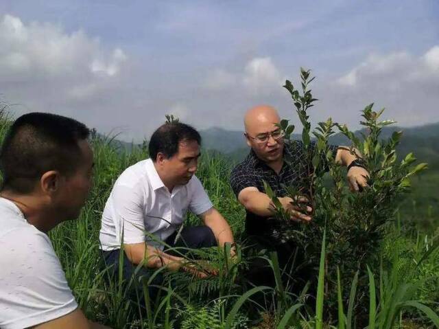 贵大黄剑教授：初心点亮扶贫路 双手筑就致富桥