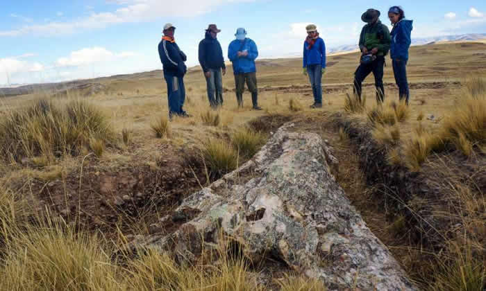 秘鲁安第斯高原巨大树化石包含过去1000万年环境发生重大变化的提醒