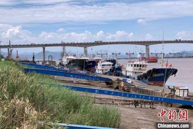 浙江台州渔船进港避风蒋荣良摄