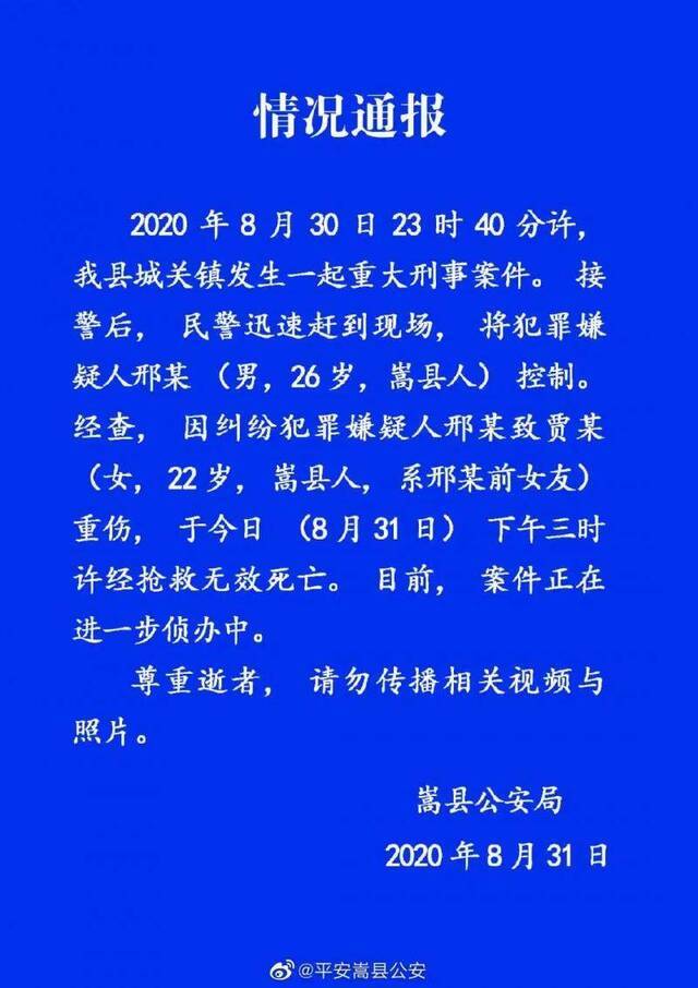 嵩县公安局通报“男子当街打前女友致死”。嵩县公安供图