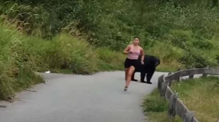 加拿大女子在登山路段慢跑黑熊突然从树丛中现身还伸掌摸她的腿