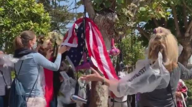 佩洛西疫情期违规做头发，抗议者在她家门外树上挂满“吹风机卷发棒”……