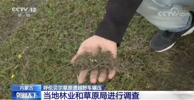 开越野车在呼伦贝尔草原上玩漂移 当地林草局:种回去