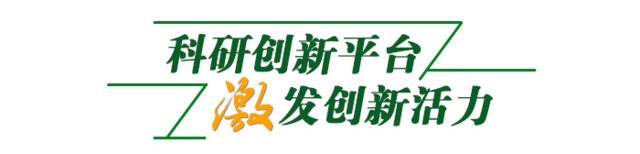 剑指一流！云南新材料产业基地建设驶入“快车道”