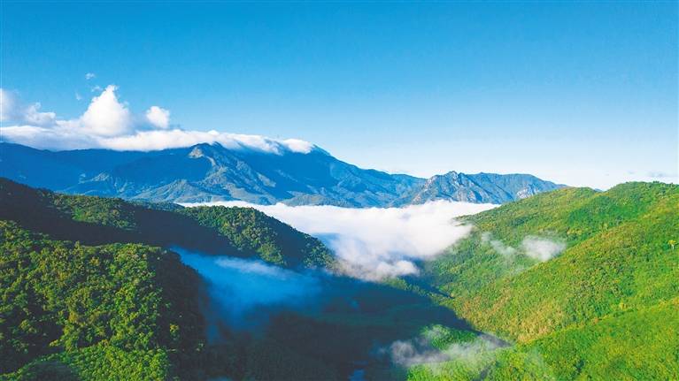 海南热带雨林生态廊道初步形成