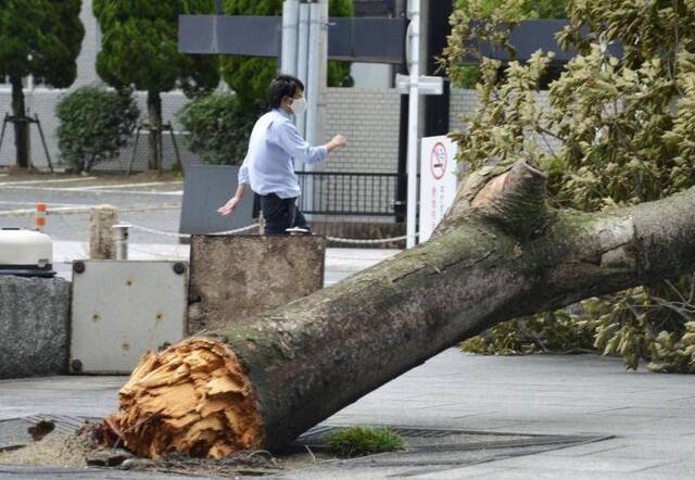 10号台风“海神”致日本至少52人受伤