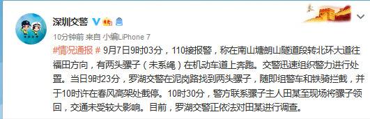 深圳北环大道两头骡子一路狂奔 交警微博评论区亮了