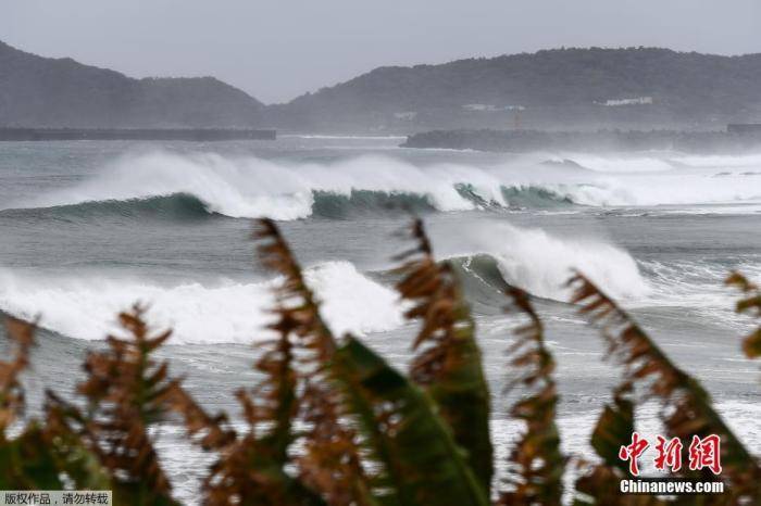 当地时间9月6日，日本鹿儿岛县枕崎，台风“海神”逼近，海岸掀起巨浪。