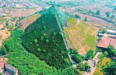 河北省邯郸市峰峰矿区对矸石山开展全方位治理和生态修复，曾经的城市“疮疤”正在逐步消失。图为峰峰矿区新三矿矸石山治理区。新华社记者王晓摄