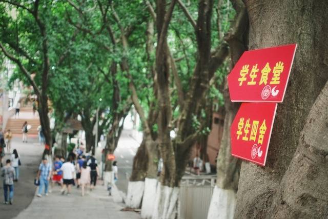 萌新驾到！与重大的故事，从此开始～