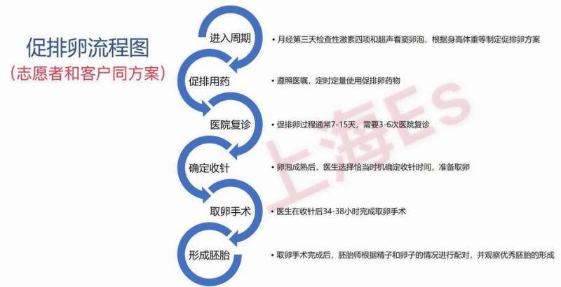 上海一家代孕公司提供的卖卵女孩促排卵流程图。