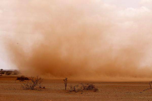 资料图：在埃塞俄比亚东南部靠近索马里边境的多洛阿多，风吹过干旱已久的大地，掀起沙尘。新华社