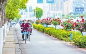 市民骑行在鲜花盛开的广福路上。记者王正鹏摄