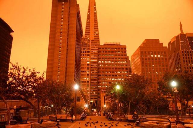 这是9月9日中午拍摄的美国加利福尼亚州旧金山街景。新华社图