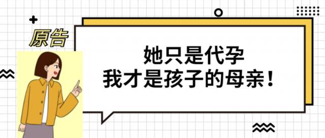 全国首例同性伴侣争抚养权案宣判