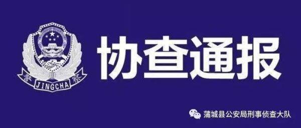 陕西渭南发生一起重大刑案 警方发布协查通报缉凶