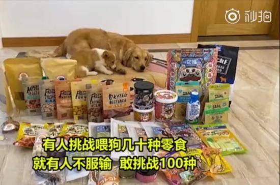 虐待？宠物博主让狗当大胃王 吃100种零食强塞辣椒