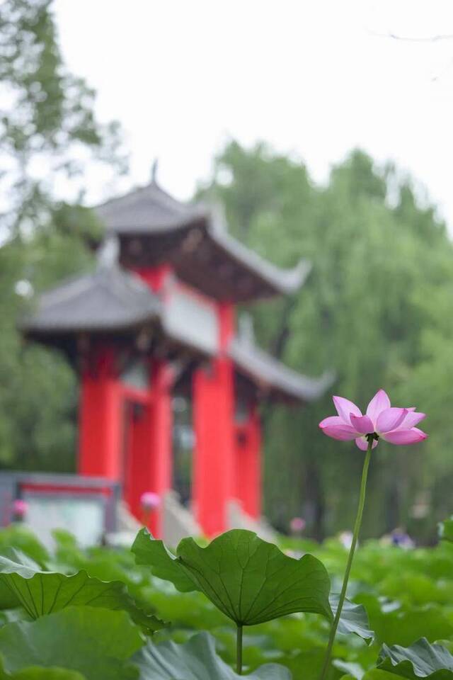 来了来了！你上川大的第一份礼物来了，快来赢取！