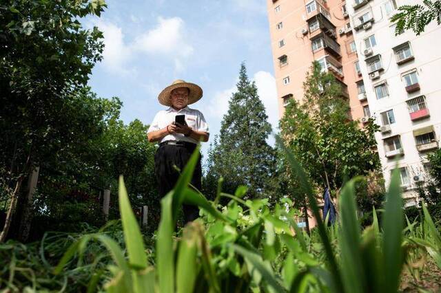 守护5000余棵树木的抗癌“花匠”：从绿化养护者到最美防疫人