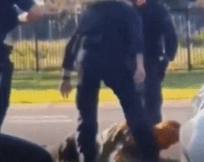 澳大利亚警察脚踩逃跑病人头部 还用汽车直接撞